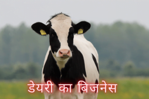 गांव में कौन सा बिजनेस करें हम आपको सभी प्रकार की जानकारी देंगे की कैसे और कब और कहां से हम गांव में पैसे कमाए तथा गांव में चलने वाला बिज़नेेस की जानकारी देंगे गांव में कौन सा बिजनेस करेंं को आप जरूर पढ़े अगर आपको अच्छा बिजनेस करना है तो