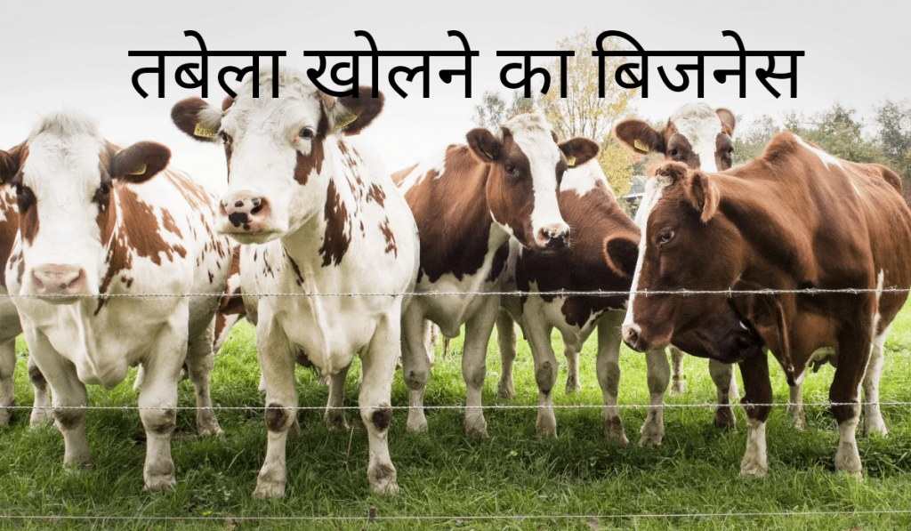 औरतों के लिए सबसे अच्छा बिजनेस कौन सा है , लेडीज बिजनेस, घरेलू महिलाओं के लिए बिजनेस आइडिया , महिलाओं के लिए व्यवसाय के नाम, महिला लघु उद्योग लिस्ट, महिलाओं के लिए व्यापार विचार, महिला गृह उद्योग लिस्ट