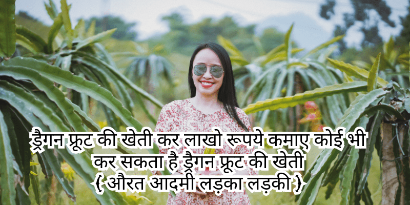 ड्रैगन फ्रूट की खेती कैसे की जाती है (Dragon Fruit Ki Kheti) : कम लागत, अधिक मुनाफा! जानिए ड्रैगन फ्रूट की खेती करने का सही तरीका और कम समय में बड़ा लाभ कमाने का राज़! यह सुपरफ्रूट भारत में कहां और कैसे उगाएं? कौन-सी मिट्टी और जलवायु सबसे बेहतर है? साथ ही जानें ड्रैगन फ्रूट के फायदे, कीमत और खेती के महत्वपूर्ण टिप्स! पूरी जानकारी के लिए पढ़ें यह गाइड!