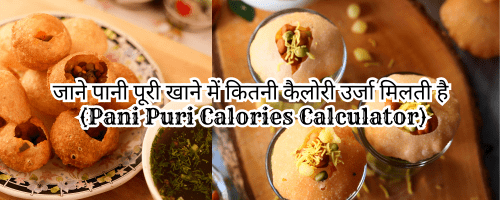 Pani Puri Calories Calculator : दोस्तों यहाँ आपको गोलगप्पे ( पानी पूरी ) में कितनी कैलोरी उर्जा पाई जाती है बहुत आसानी से पता चल जायेगा बस आपको अपने पानी पूरी की संख्या लिखनी है और आप कितनी कैलोरी उर्जा ली है पता चल जायेगा उसे साथ साथ आपको क्या क्या मिला सब पता चल जायेगा |