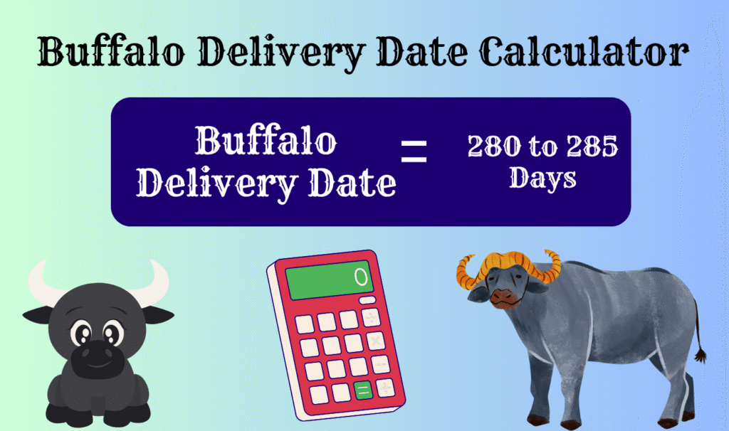 Buffalo delivery date calculator in hindi, भैंस बच्चा कितने दिन में देती है, भैंस का गर्भकाल कितने दिन का होता है, भैंस का जीवनकाल कितना होता है, भैंस बच्चा कितने दिन में देती है, मुर्रा भैंस कितने दिन में बच्चा देती है, भैंस का जीवनकाल कितना होता है, भैंस कितने महीने में बच्चा देती है, Buffalo delivery date calculator, Buffalo delivery date calculator india, मुर्रा भैंस कितने दिन में बच्चा देती है