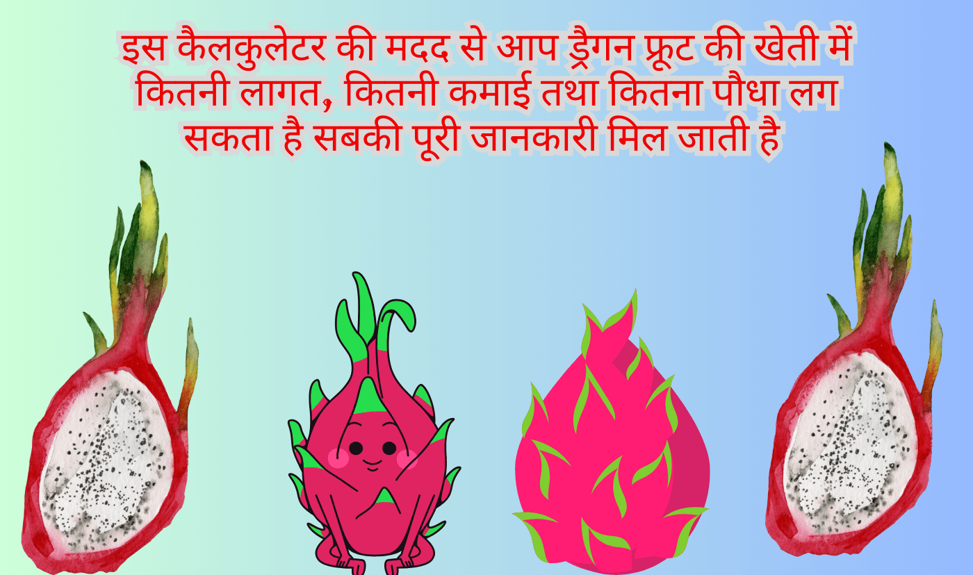 Dragan Frute Farming Calculator india , ड्रैगन फ्रूट से कितना मुनाफा होता है, ड्रैगन फ्रूट खेती में खर्च कितना आता है, 1 एकड़ में कितने ड्रैगन फ्रूट पौधे लगते हैं, जाने ड्रैगन फ्रूट की खेती में कितनी कमाई है और कितनी लागत है | ,Dragon fruit production calculator in Hindi, ड्रैगन फ्रूट एक एकड़ में कितनी पैदावार होती है, Dragon fruit ki per acre yield kitni hoti hai, Dragon fruit farming profit calculator India, Dragon fruit ka production calculator Hindi mein, ड्रैगन फ्रूट फार्मिंग कॉस्ट कैलकुलेटर, Dragon fruit farming cost calculator in India, Dragon fruit kheti lagat calculator Hindi, Dragon fruit farming expenses India, ड्रैगन फ्रूट लागत और मुनाफा कैलकुलेटर, ड्रैगन फ्रूट पौधे कैलकुलेटर, Dragon fruit plant calculator Hindi, Dragon fruit plant requirement per acre, Dragon fruit plantation calculator India, ड्रैगन फ्रूट पौधा लगाने की दूरी और संख्या