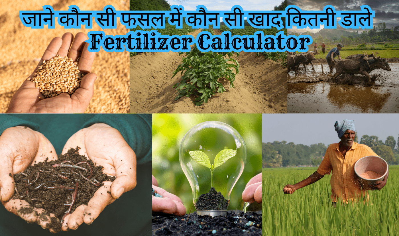 Fertilizer calculator India, Organic Fertilizer Calculator in Hindi, Crop-wise fertilizer calculator, Free fertilizer dosage calculator – Hindi, खेत में कौन सा खाद डालना चाहिए NPK fertilizer calculator India, fertilizer requirement calculator India, fertilizer dosage calculator for crops, how much fertilizer per hectare India, soil test fertilizer calculator India, crop fertilizer recommendation India, fertilizer calculator Hindi, organic fertilizer calculator India, नाइट्रोजन पोटाश फॉस्फोरस कैल्कुलेटर, खेती के लिए खाद कैलकुलेटर, Npk fertilizer calculator india in hindi, Fertilizer calculator india in hindi, dhan me kitani khad dalna chahiye.
